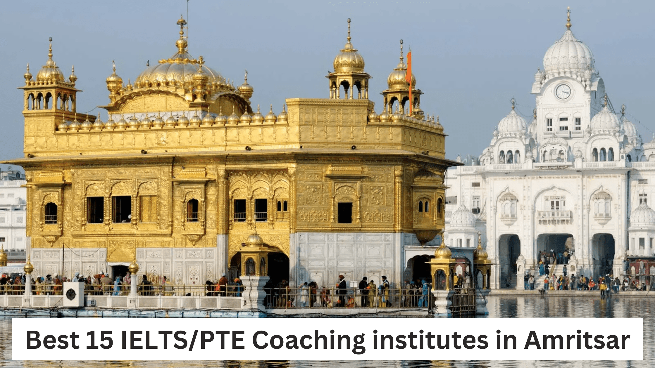 Top 15 Best Immigration/Study Visa Consultants in Amritsar