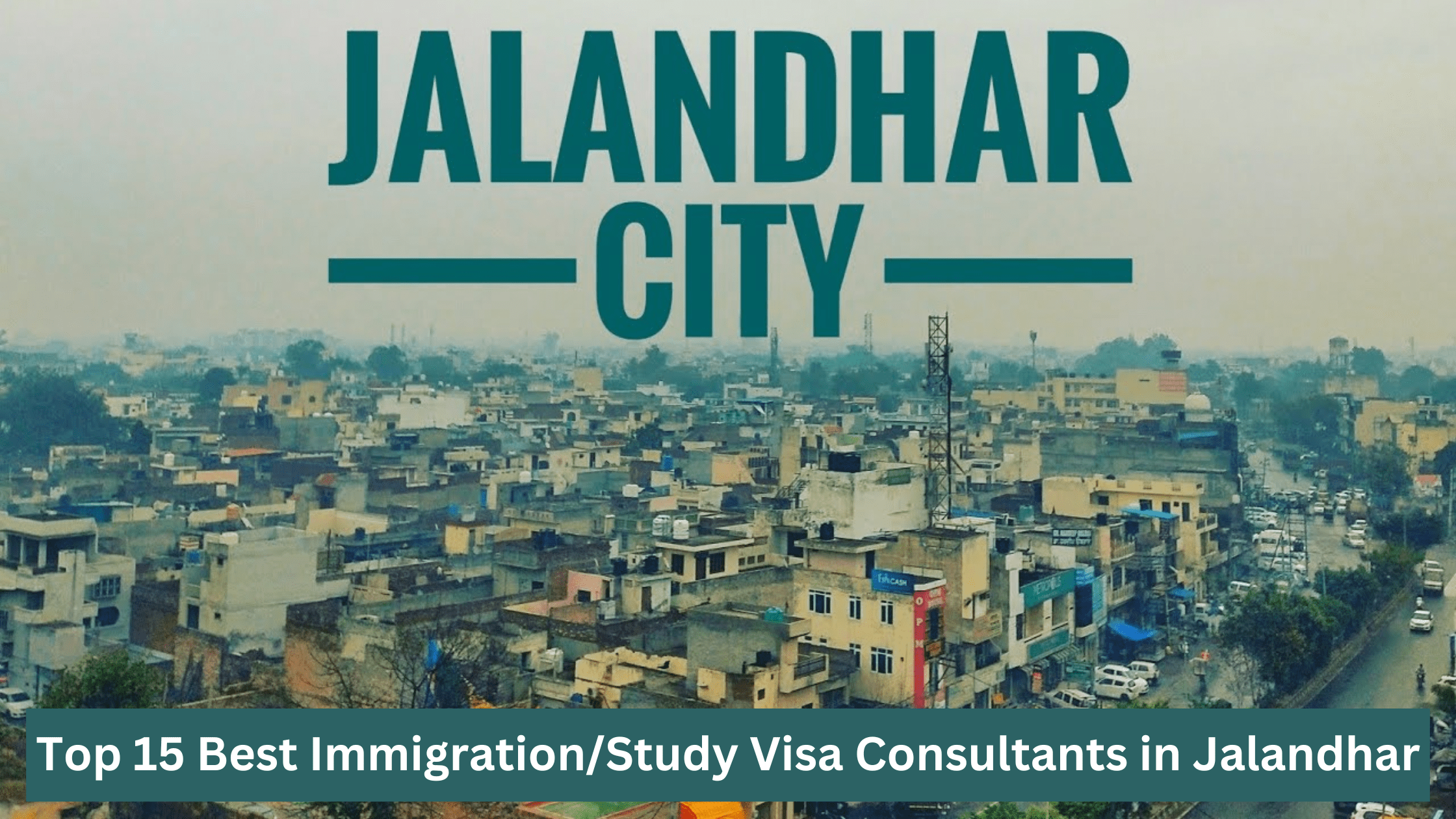 Top 15 Best Immigration/Study Visa Consultants in Jalandhar