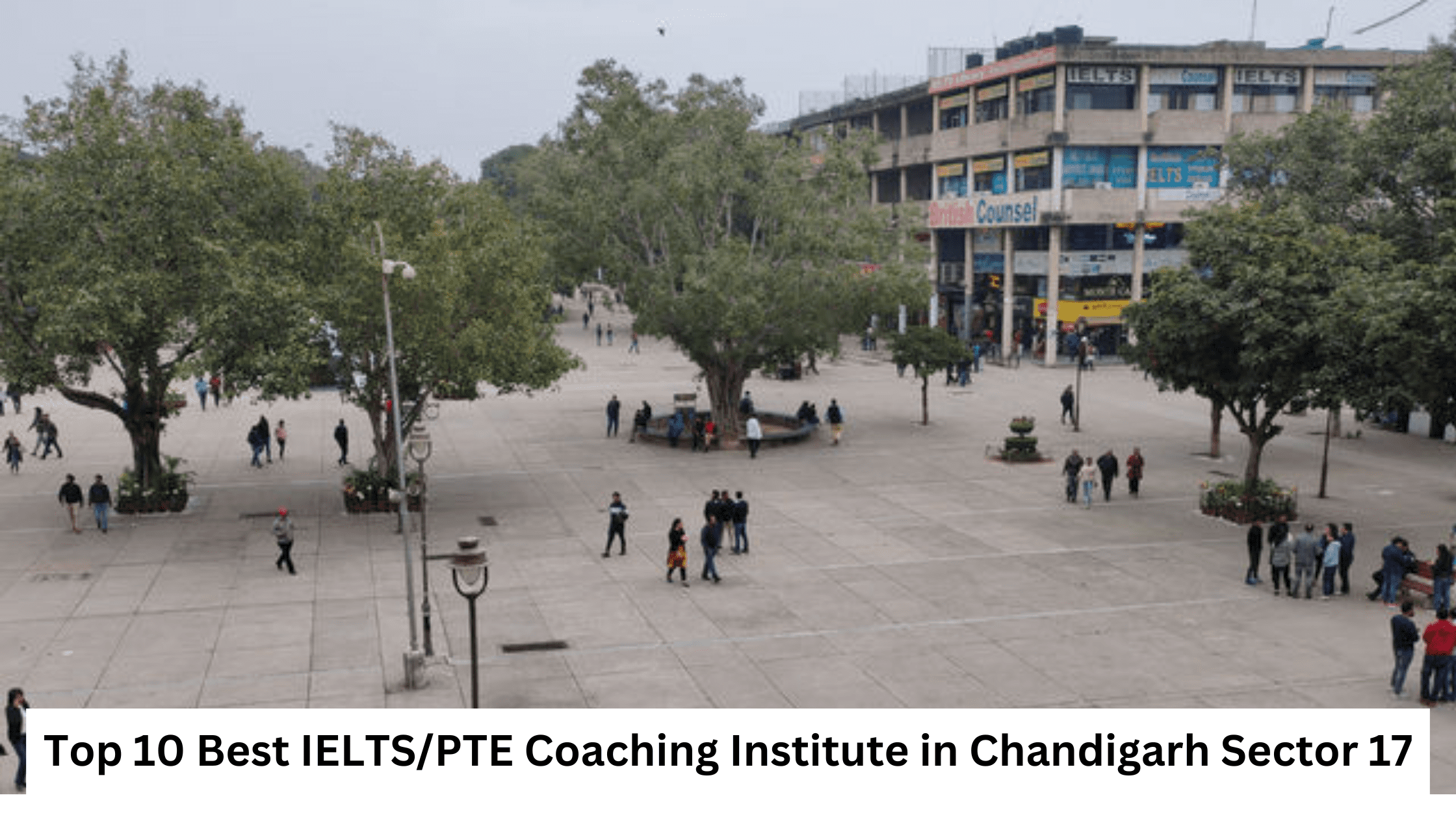 Top 10 Best IELTS/PTE Coaching Institute in Chandigarh Sector 17