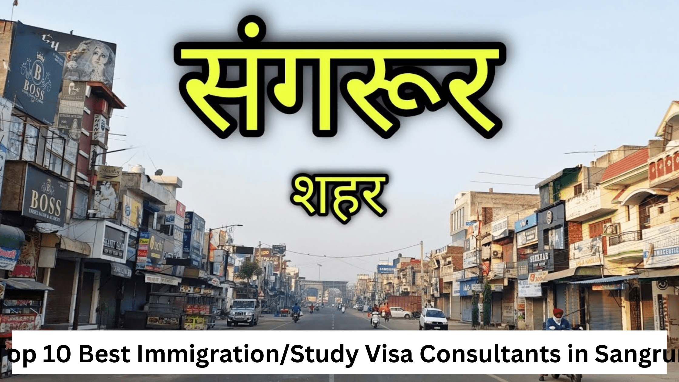 Top 10 Best Immigration/Study Visa Consultants in Sangrur