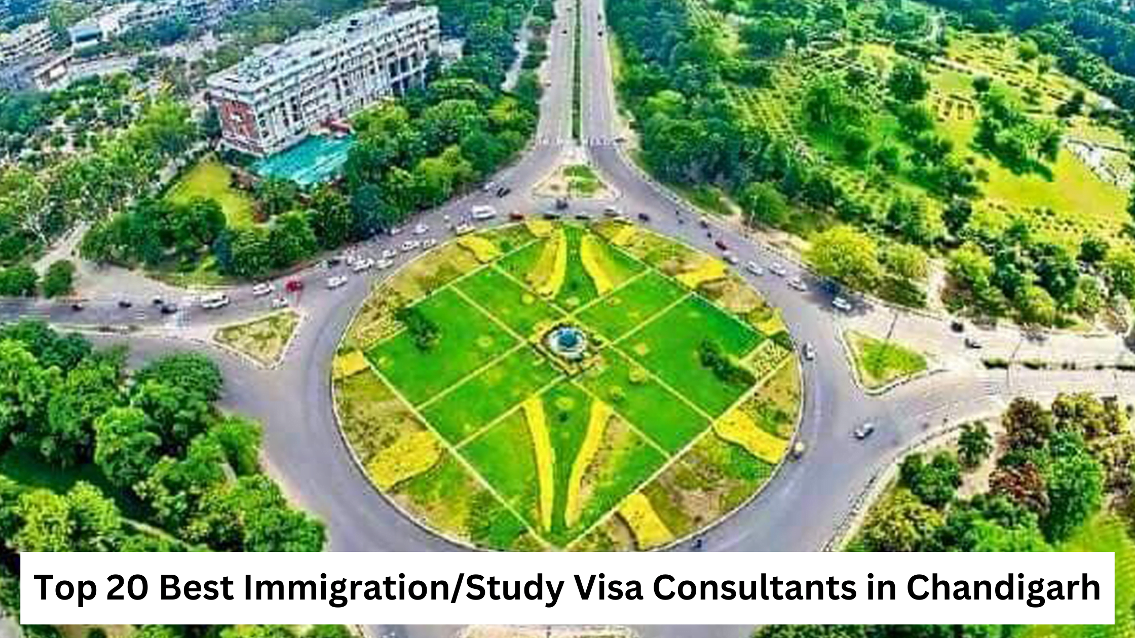 Top 20 Best Immigration/Study Visa Consultants in Chandigarh