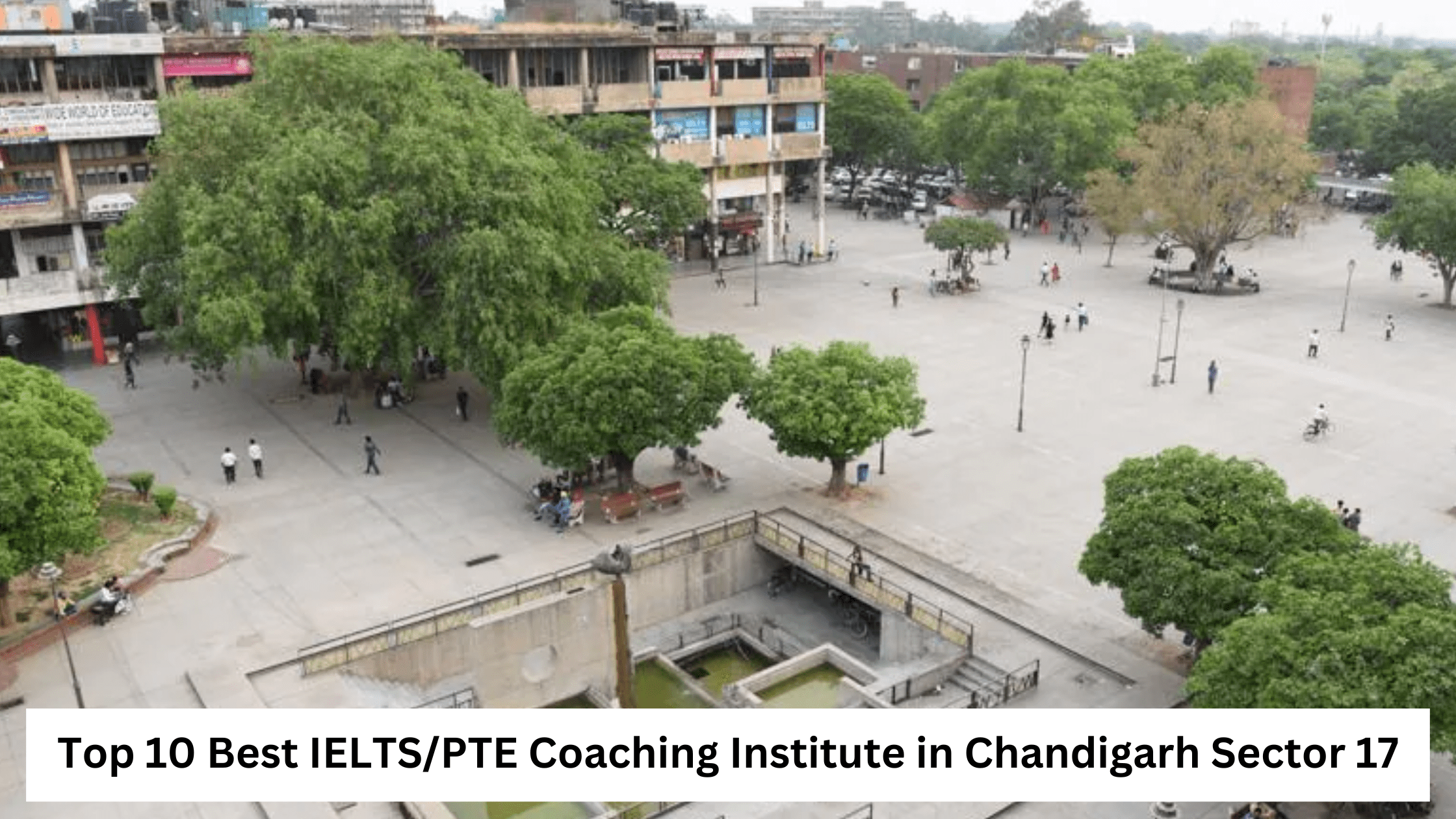 Top 10 Best PTE Coaching Institute in Chandigarh 