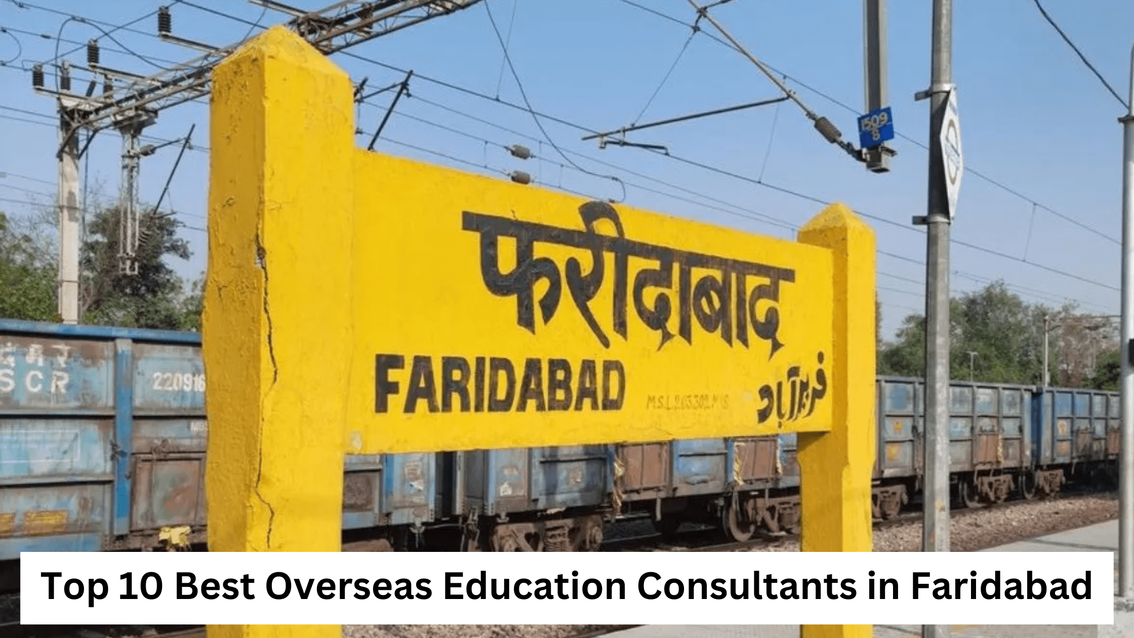 Top 10 Best Overseas Education Consultants in Faridabad