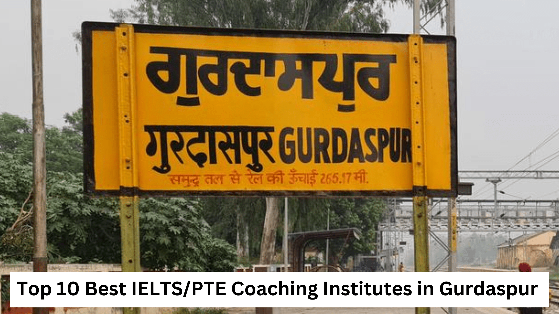 Top 10 Best IELTS/PTE Coaching Institutes in Gurdaspur 