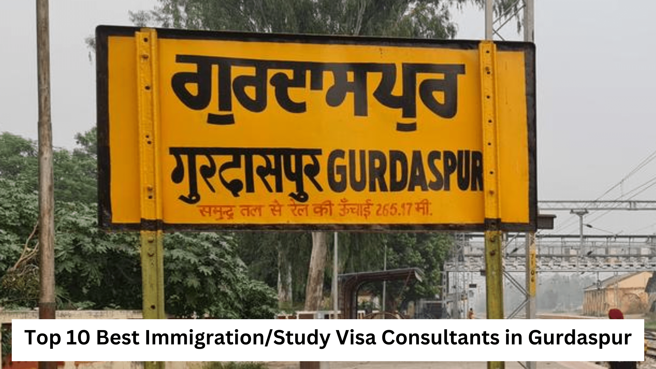 Top 10 Best Immigration/Study Visa Consultants in Gurdaspur