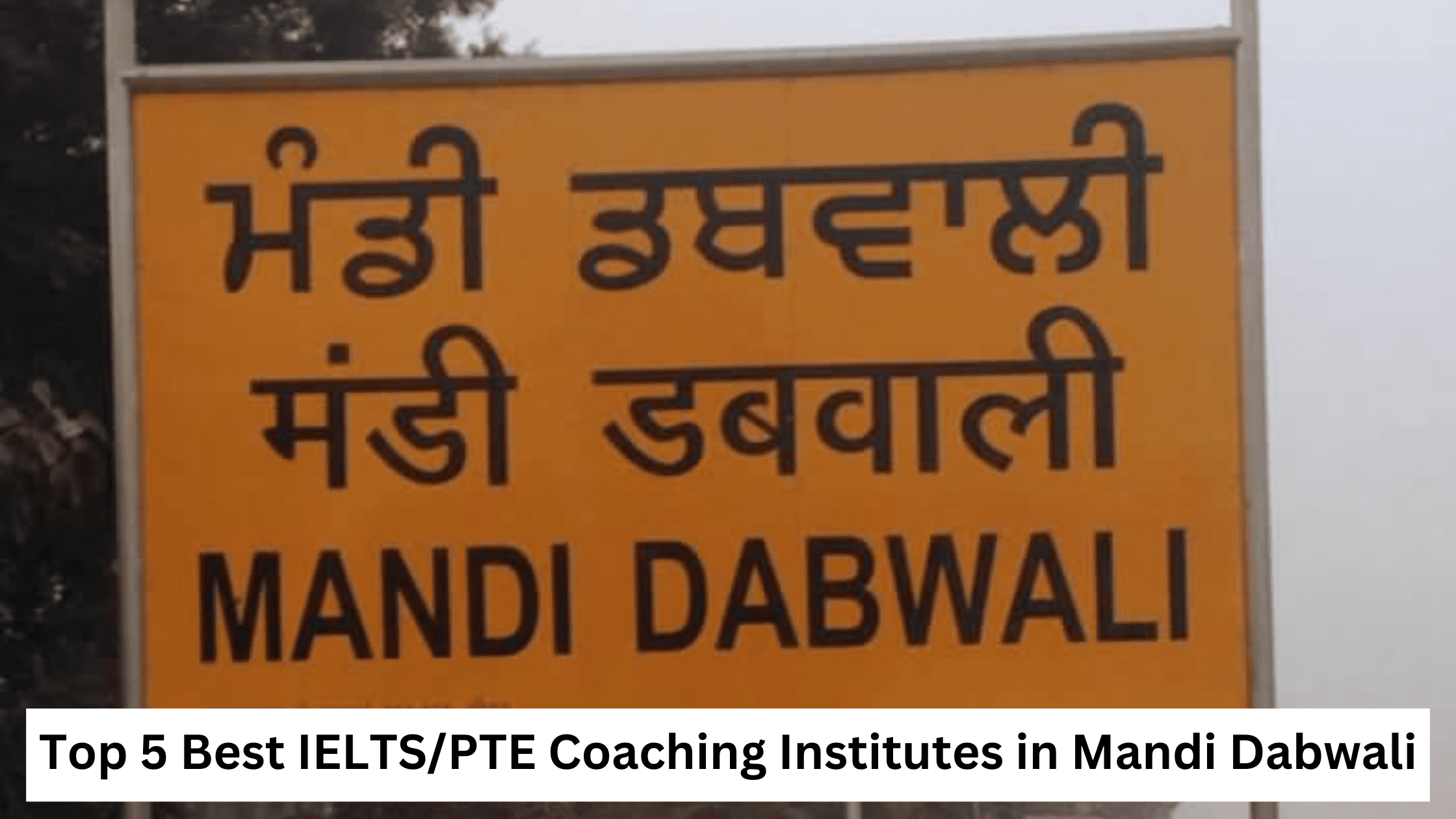 Top 5 Best IELTS/PTE Coaching Institutes in Mandi Dabwali