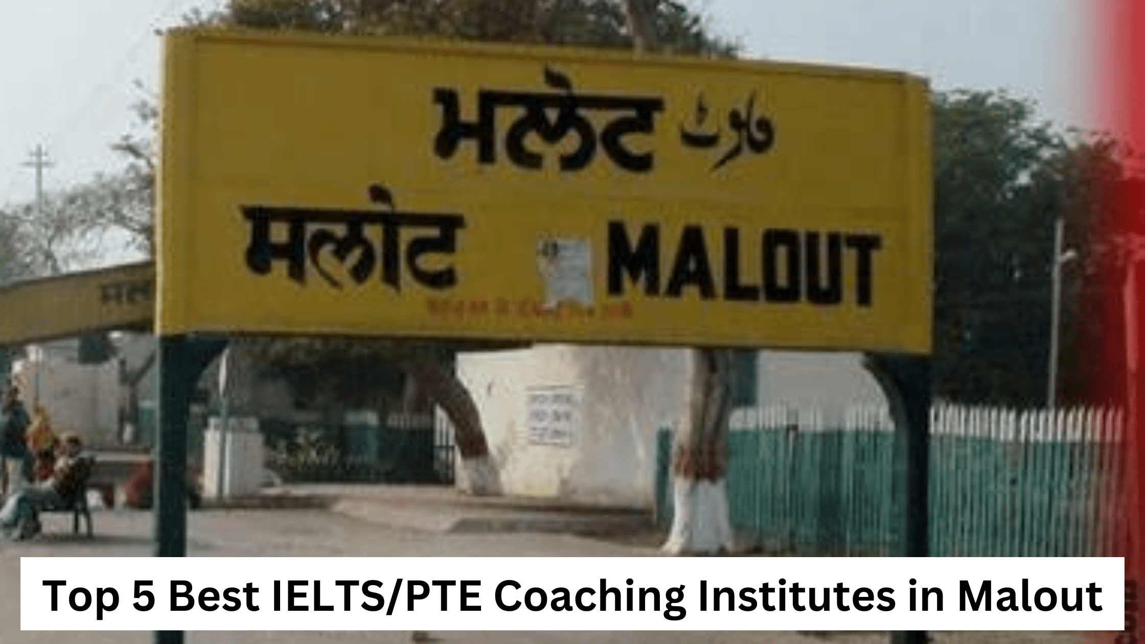  Top 5 Best IELTS/PTE Coaching Institutes in Malout