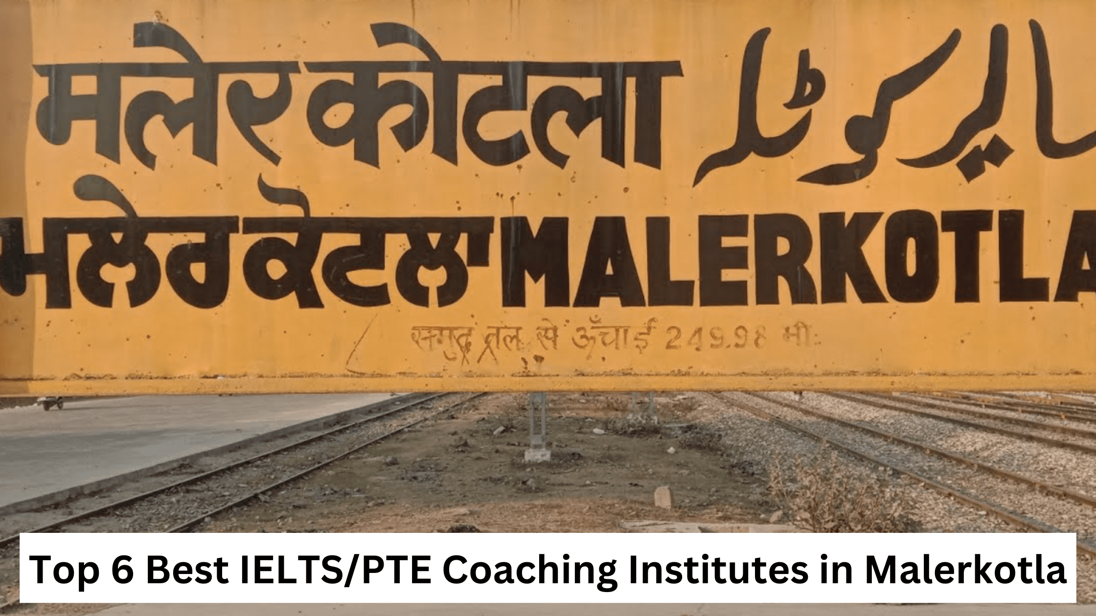 Top 6 Best IELTS/PTE Coaching Institutes in Malerkotla